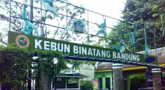 Kebun Binatang Bandung Tutup Sementara Hingga Akhir Mei