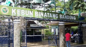 Tetapkan Protokol Kesehatan, Kebun Binatang Bandung Semakin Ramai Pengunjung