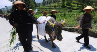 Tradisi Budaya Indonesia yang Biasa Dilakukan pada Muharam