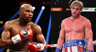 WBC Restui Duel Floyd Mayweather Lawan YouTuber Logan Paul