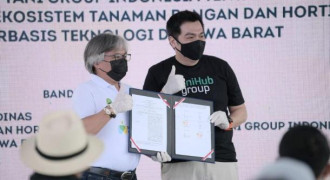 428 Petani Milenial Garap Komoditas Tanaman Hias dan Ubi Jalar