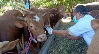 Jelang Idul Adha, Stok Hewan Kurban di Jabar Tercukupi