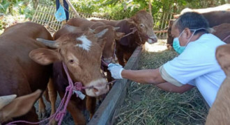 Kurban di Tengah Pandemi Covid-19 Wajib Ikuti Prokes Ketat