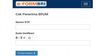 Bansos UMKM Tahap 3 Segera Cair, Ini Cara Ngeceknya di eform.bri.co.id/bpum 