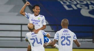 Antarkan Persib Menang atas Borneo FC, Rashid dan Beckham Putra Dipuji Robert Alberts