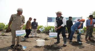 Jabar Gencarkan Penanaman Pohon Mangrove di Pesisir Pantai Utara