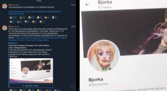 Bjorka Aktif Lagi, Sindir Pemerintah dan Dark Tracer