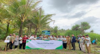 Pegadaian Taman 3000 Mangrove dan 50 Ekor Tukik 