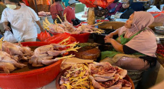 Disperindag Ungkap Penyebab Harga Ayam Potong Naik