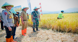 Bey Apresiasi Panen Raya Kelompok Tani Mekarwangi