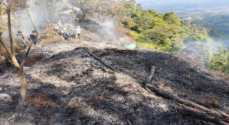 Kebakaran Hutan Gunung Salak Berhasil Dipadamkan