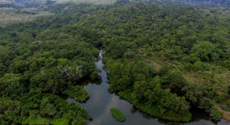 Sejarah Leuweung Sancang yang Penuh Misteri