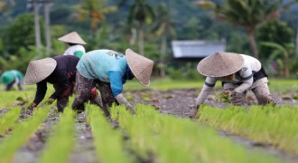 Jumlah Usaha Pertanian di Jabar Capai 3,29 Juta