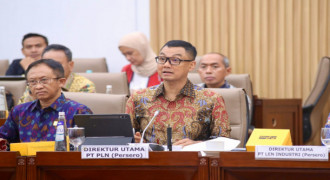 PLN Ajukan 3 T PMN 2025 untuk Bangun Kelistrikan 